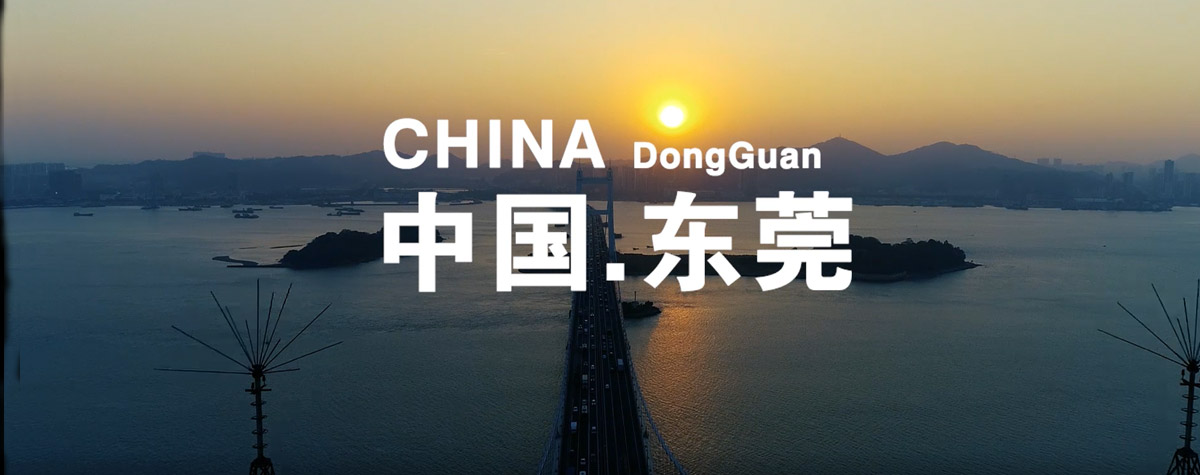 中信彩视频